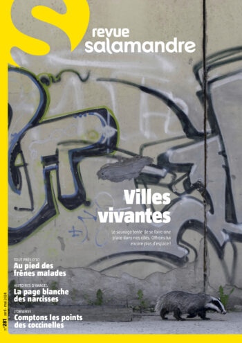 Couverture de La Salamandre n°281