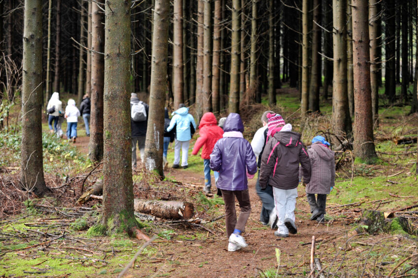 ecole enseignement education classes vertes sport gymnastique eleve etudiant professeur instituteur bois nature hiver arlon adeps Hydrion moniteur primaire musee archeologique guide gaspart