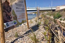 © Association des Espèces Parmi’Lyon