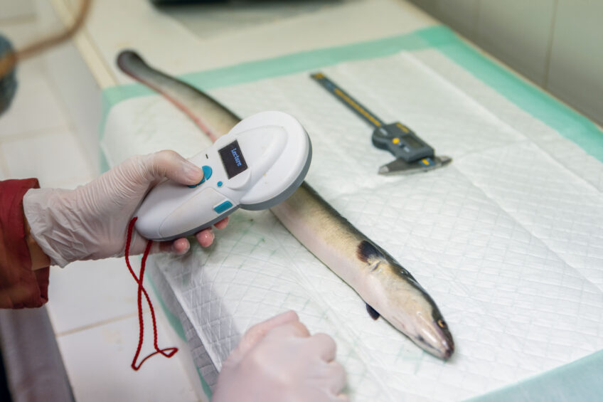 Test lecture de puce