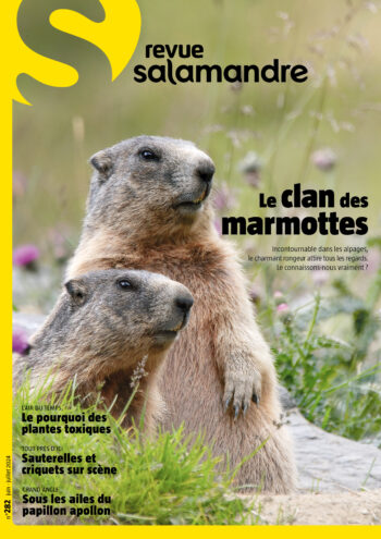 Couverture de La Salamandre n°282