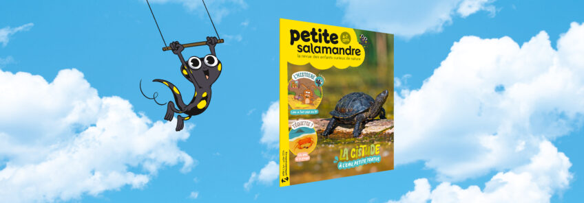 Petite Salamandre n°54 - Rencontrer la cistude, petite tortue d'eau douce - Dans l’étang ensoleillé, une tortue prend son bain. Une tortue dans l’eau, c’est bien ce qu’on a vu ? Mais oui, c’est là que vit la cistude. Sam enfile son maillot et va la rejoindre, plouf !