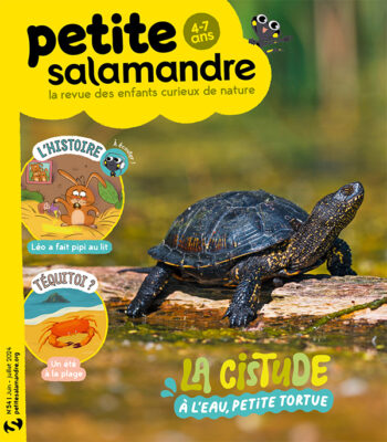 Couverture de La Petite Salamandre n°54