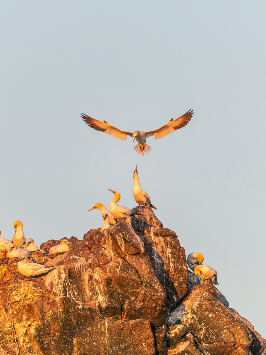 Marc Tisseau Le sky-pointing, comportement typique du fou.