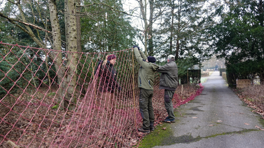 Des participants tendent un filet lors de l’opération de capture du 13 mars 2024.
