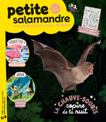 Couverture de La Petite Salamandre n°55