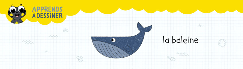 Apprends à dessiner La Baleine avec Sam - Petite Salamandre - La Petite Salamandre a créé des vidéos pour vos petits curieux de nature de 4-7 ans. Ici vos enfants découvrent comment dessiner et colorier la baleine !