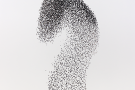 À quoi bon tenter d’estimer leur nombre ? L’individu étourneau disparaît au profit d’un superorganisme… L’intervention du prédateur (faucon pèlerin en haut de la photo) est une source créatrice dans l’expression graphique des nuées. À proximité immédiate de l’assaillant, la densité du collectif est telle que le ciel ne transparaît plus.  À quoi bon tenter d’estimer leur nombre ? L’individu étourneau disparaît au profit d’un superorganisme… L’intervention du prédateur (faucon pèlerin en haut de la photo) est une source créatrice dans l’expression graphique des nuées. À proximité immédiate de l’assaillant, la densité du collectif est telle que le ciel ne transparaît plus.  / © Alessandro Staehli