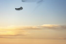 Place à l’imagination. Les représentations célestes éphémères et très dynamiques sont difficilement interprétables sur le terrain. La photographie permet d’en figer une expression au hasard. Un croissant géant vole alors sous le regard d’un visage énigmatique.  Place à l’imagination. Les représentations célestes éphémères et très dynamiques sont difficilement interprétables sur le terrain. La photographie permet d’en figer une expression au hasard. Un croissant géant vole alors sous le regard d’un visage énigmatique.  / © Alessandro Staehli