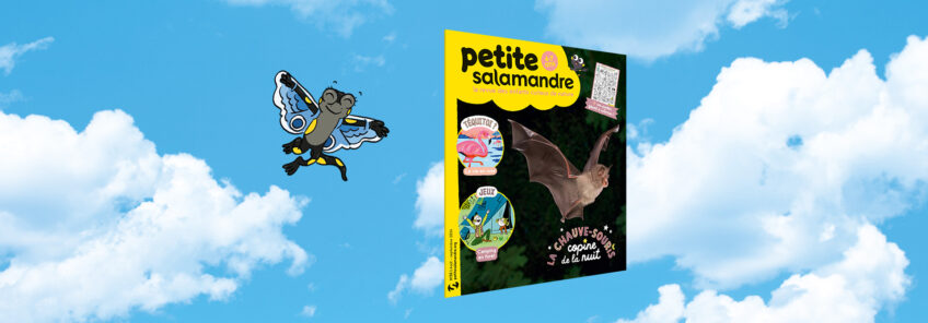 Petite salamandre 55 - la chauve souris, copine de la nuit