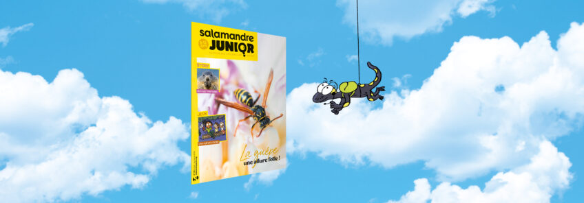 Salamandre Junir 155 la guêpe, une allure folle