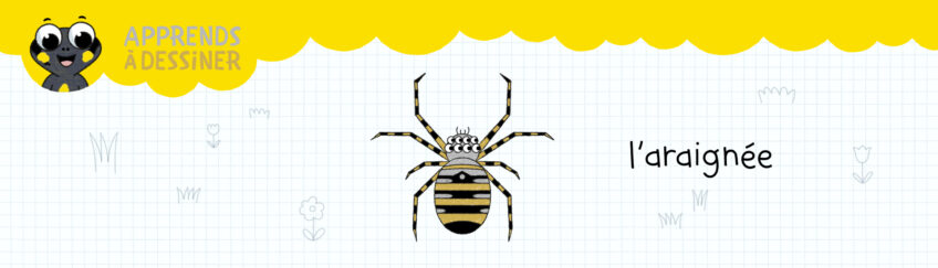 Apprends à dessiner l'araignee - Petite salamandre 56