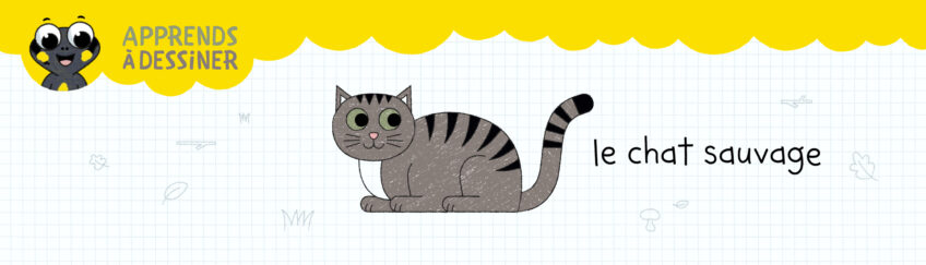Japprends a dessiner un chat sauvage avec Sam - Petite Salamandre