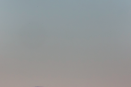 Catégorie Emotion - 3  
Markus Varesvuo • Lagopède alpin Catégorie Emotion - 3  
Markus Varesvuo • Lagopède alpin / © Markus Varesvuo