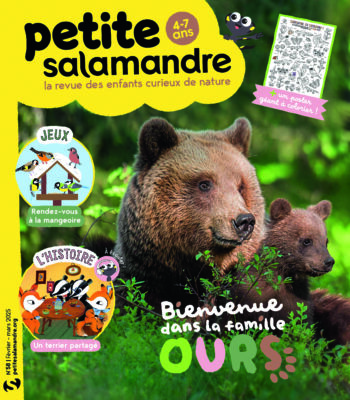 Couverture de La Petite Salamandre n°58