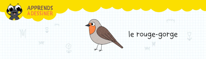 Apprends dessiner rougegorge avec sam petite salamandre