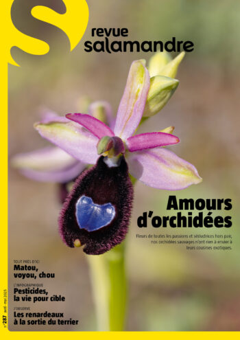 Couverture de La Salamandre n°287