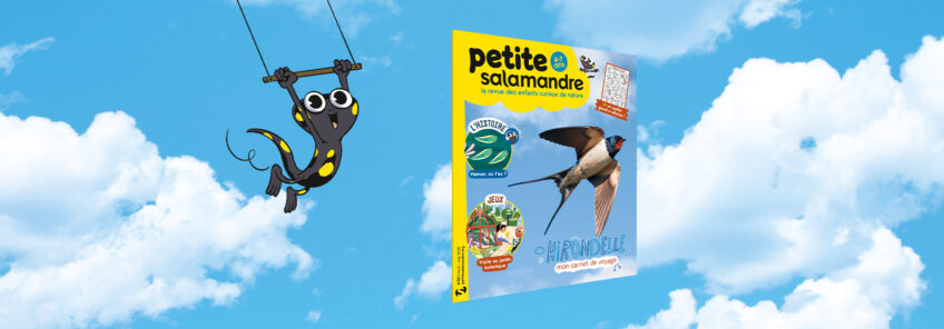 PSA59-Hirondelle carnet de voyage