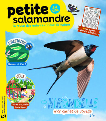 PSA59_Hirondelle mon carnet de voyage