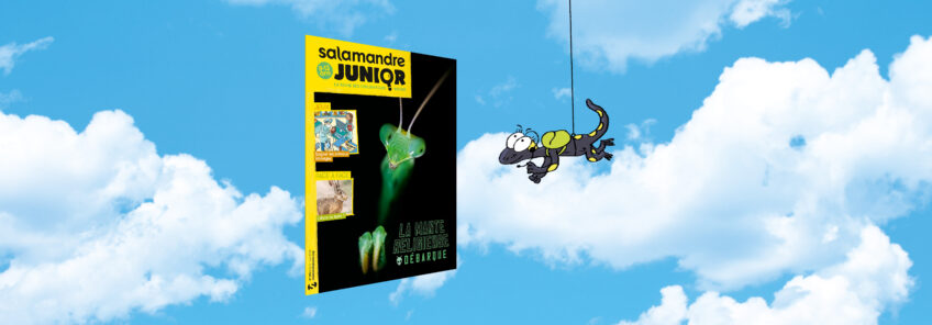 SAJ159-mantereligieuse