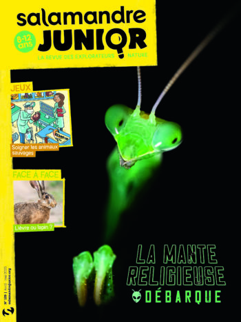 SAJ159-mantereligieuse