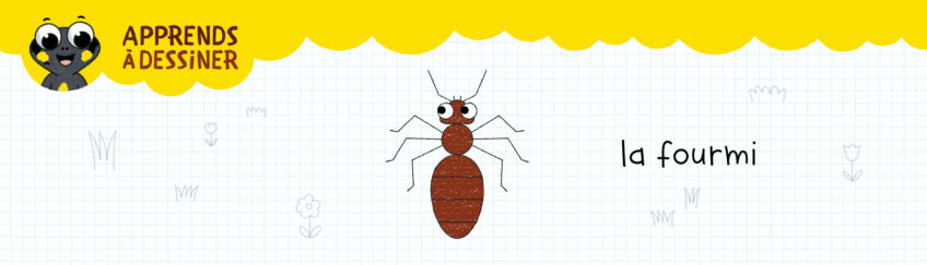 Apprends dessiner la fourmi avec sam petite salamandre