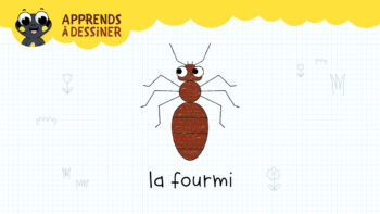 apprends a dessiner une forumi avec sam la petite salamandre 59