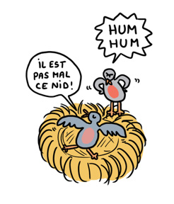 Chez soi article education salamandre