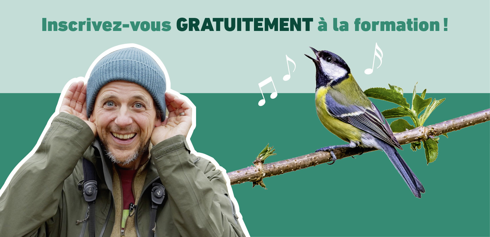 Salamandre newsletter