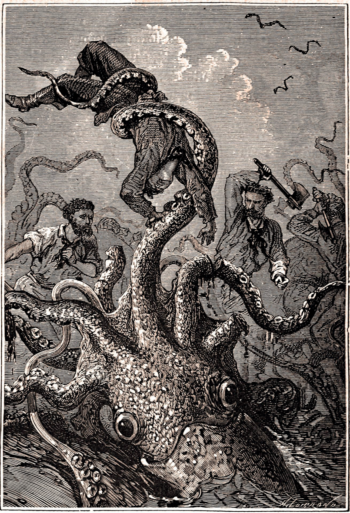poulpe jules verne salamandre 288