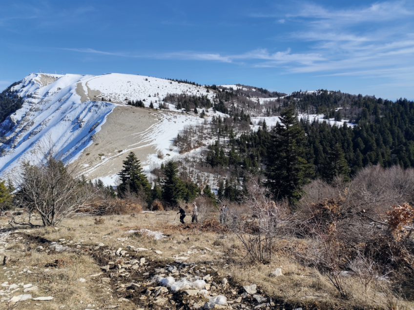 Salamandre 288 Chantier restauration - Oscar Hadj-Bachir (1)