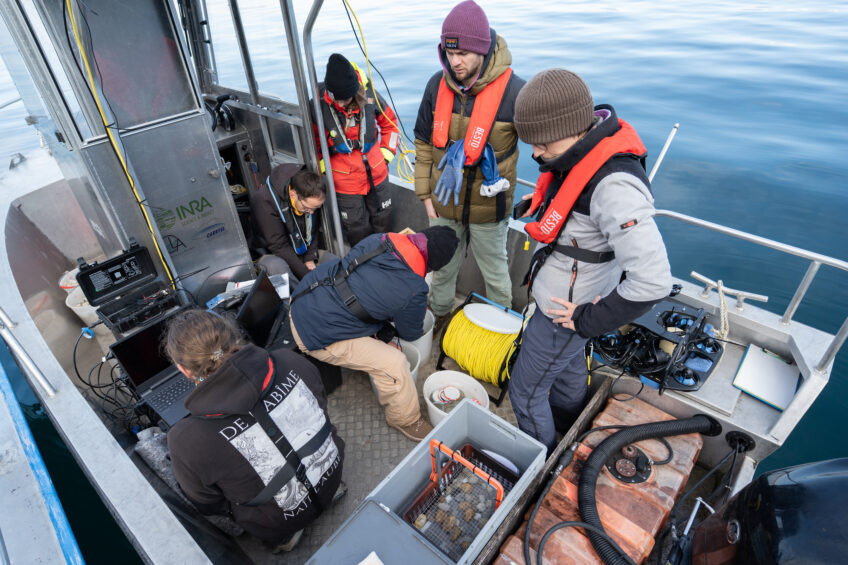 Omble chevalier minute nature revue salamandre 288