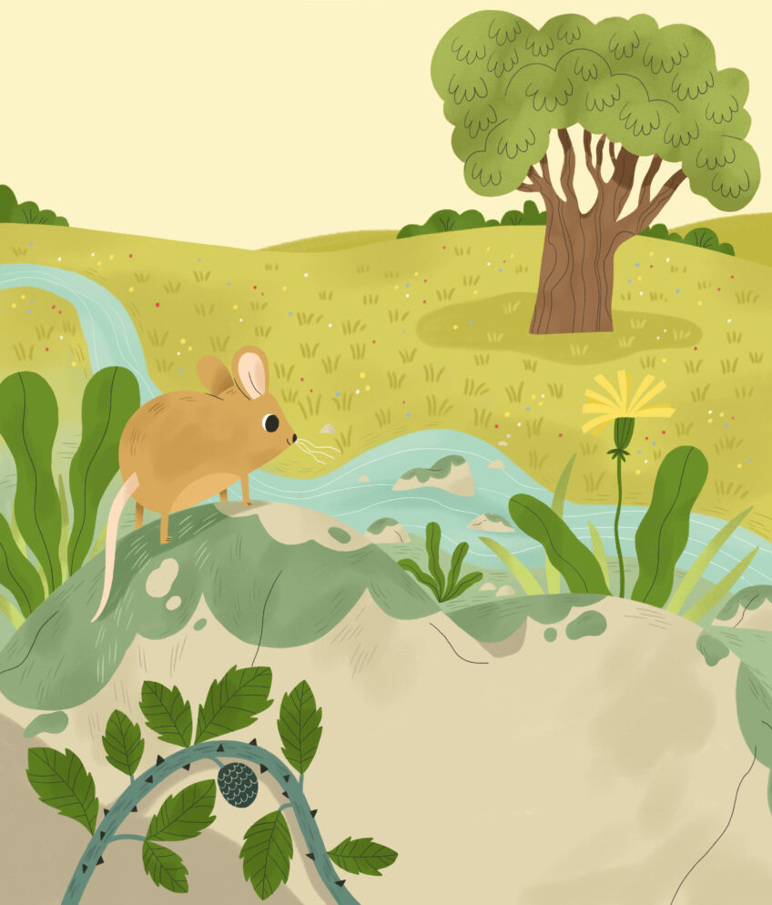 PSA60-Histoire-Un grand voyage podcast