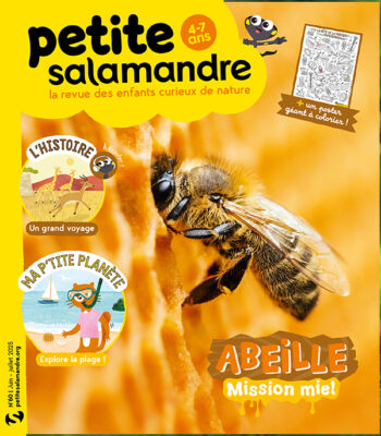 Couverture de La Petite Salamandre n°60