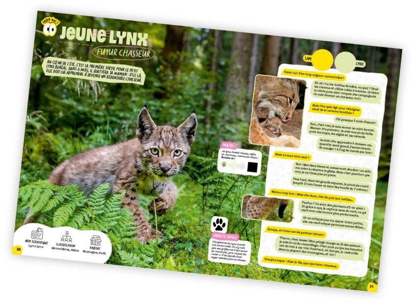 La Salamandre Junior fait peau neuve_dossier