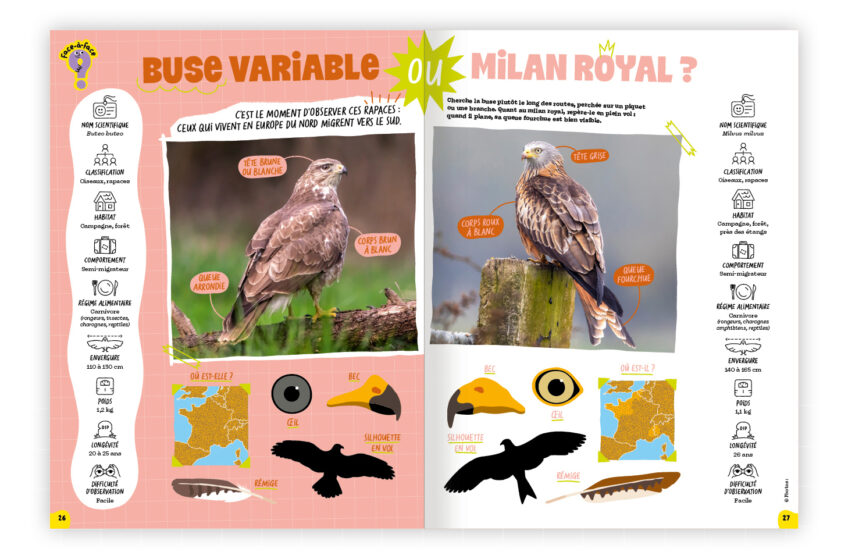 La Salamandre Junior fait peau neuve_face a face