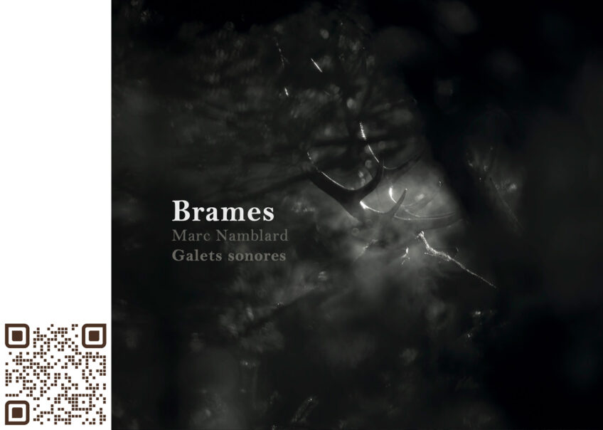 Bames_couverture_Photo-Vincent-Munier_Tous-droits-reserves