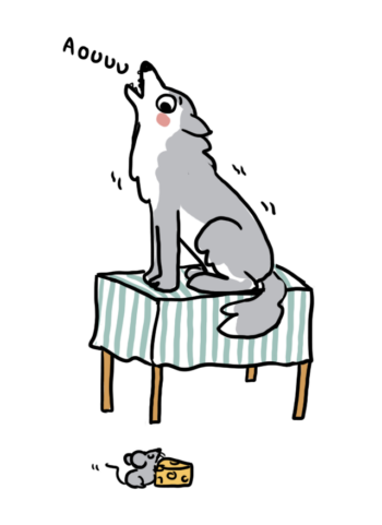 Illustration débat salamandre junior 161 animaux sauvages