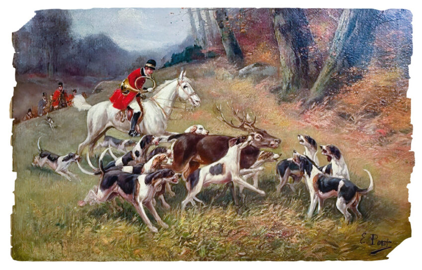 Chasses royales revue salamandre 289