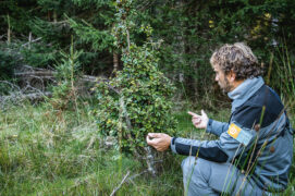 @ Théo Tzélépoglou @ Théo Tzélépoglou