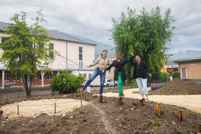 Metamorphose cour ecole salamandre 289