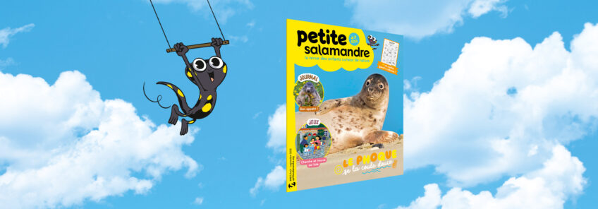 PSA61_Le phoque se la coule douce