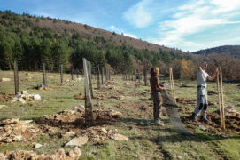 @ CNPF / C.Loudun @ CNPF / C.Loudun