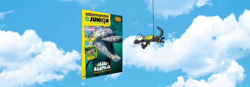 Salamandre Junior 161 - Grand Dauphin concert sous-marin