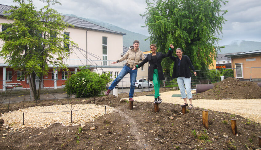 Saison Metamorphose cour ecole salamandre 289