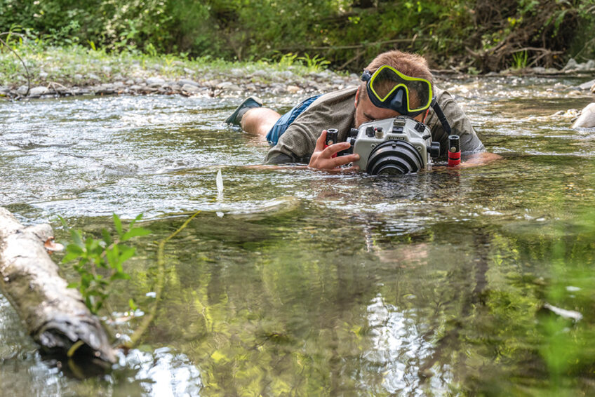 Sebastien barrio photographie animalière revue salamandre 289