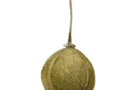 La coque du fruit du tilleul à petites feuilles est fragile / Fruits du tilleul et leur aile membranée