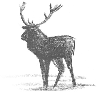 Une nuit avec les cerfs 8 - Revue Salamandre 289Jchevallier1