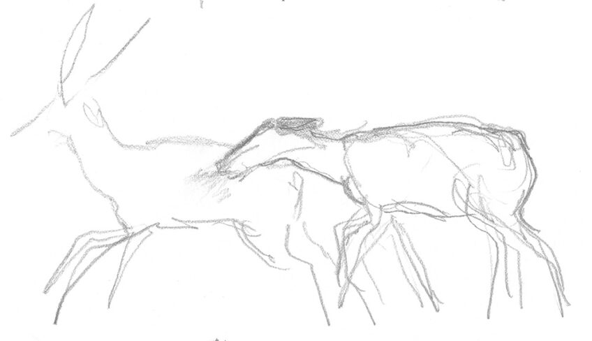 Une nuit avec les cerfs - Revue Salamandre 289Jchevallier13-1