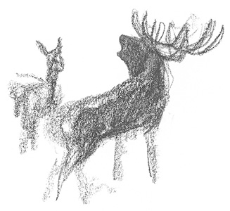 Une nuit avec les cerfs - Revue Salamandre 289Jchevallier14